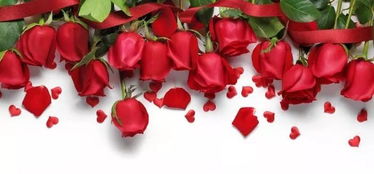 2018年度云南省绿色食品“十大名品”评选结果公示