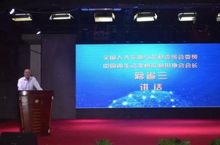 再生资源回收 推动绿色发展的关键力量